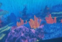 45536228_722703584771587_2100691615692619776_n