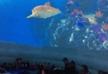 45545848_300522130671473_3187051512442388480_n