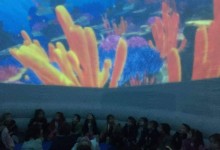 45546898_289447521691168_8845729280643039232_n