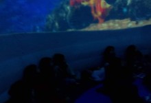 45572558_557857027970898_7352887111994834944_n