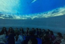 45575111_179114452956656_6637391692724961280_n