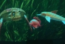 45581114_195715218020978_5876599409457758208_n