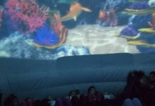 45590063_2259382650973697_2713798553678905344_n