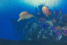 45592888_178479386431646_1803941927096156160_n