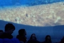 45638210_323966191518567_3140817980502310912_n