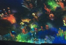 45652626_1946456962074416_8928567577601376256_n