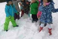 49686300_328509297993366_5535789227624628224_n