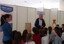 54417700_451233502286803_6611351361843888128_n