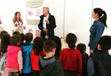 55564557_2283600615230851_4184649227051204608_n