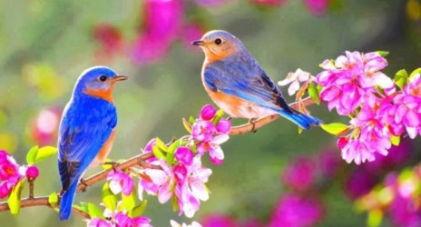 Άνοιξη στις καρδιές μας!