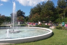 60735086_290195231860874_2828829881083625472_n