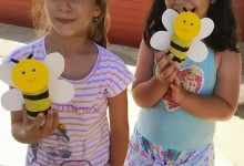 66328301_335166277406590_7597250062279770112_n