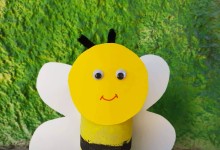 66332019_2515997911796370_5332253012389789696_n