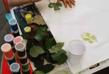 67308328_368608597136796_9055646352695885824_n