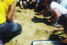 67421072_902264526774958_4636424626325422080_n