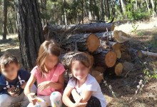 70228406_520616178698286_3991900393410920448_n