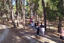 70230720_425776771405491_408298939985428480_n