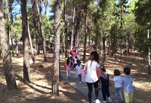 70332908_393518781334926_6181039614954831872_n