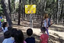 70685901_676566472855631_8001011725799260160_n