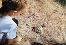 71496381_940160319650648_629359390587092992_n