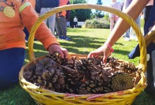 71197963_382650532411112_9141582781363519488_n