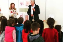 72481971_2371695073147592_2838107822191804416_n