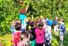 73349273_613294769494422_5678593879444553728_n