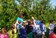 73415957_2448696711908072_276973090775236608_n