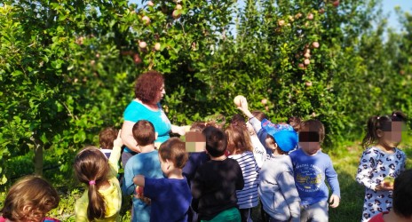 Μίλα μου για Μήλα…!