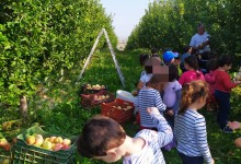 72581008_1945579308878717_6020585271773364224_n