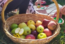 73236064_1284391928433537_1339864903967571968_n