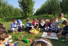 72485147_719160061933997_545608138200449024_n