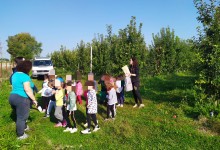 73083640_478511299407849_7121507817780936704_n