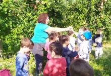 72645541_450188415602181_6454014451954745344_n