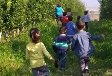 73497856_777603536024941_2304998592873496576_n