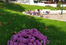 72843915_1986054338208021_927752136102510592_n