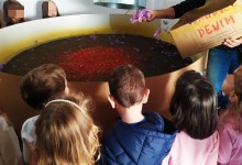 74162664_457216608243818_3129912461537312768_n