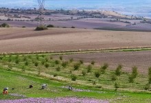 74481895_781876958918730_2788233274676215808_n