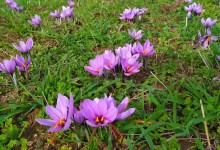 72628434_569593867144388_5773085981750067200_n