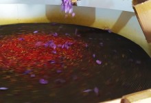 75521588_488696285064739_2065537046381854720_n