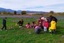 77064645_2870994866279065_1405081534225973248_n