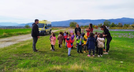 Στα κροκοχώραφα της Ελίμειας Γης