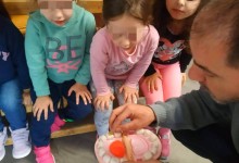 73160589_427960504585310_4188572765575446528_n