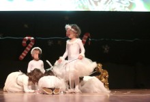 79513878_1343517612483734_7157674981466308608_n