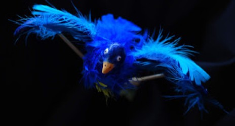 Το βιολί του βασιλιά