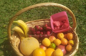 102330135_534991214046415_2228416976638705664_n