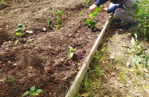 102559895_981553595610354_7776621979758493696_n