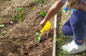 102764028_255529685668037_2188066592116441088_n