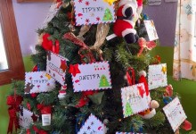 267033051_1057631281680367_1005462190623420239_n