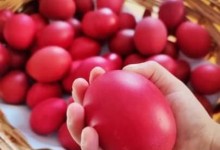 278613676_1134540390656122_7270436809696759578_n